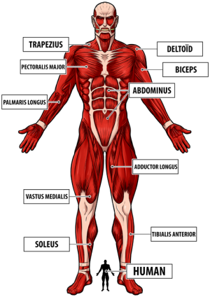 The colossal Titan