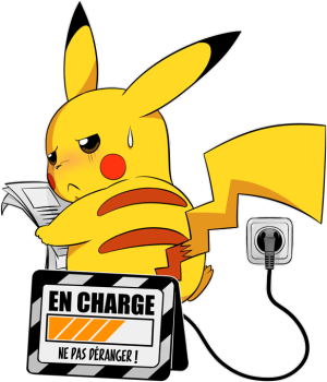 En Charge... Ne pas déranger !