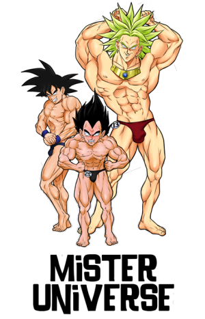 Le grand Concours de Mister Univers !