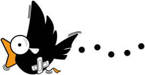 Baka Bobo !