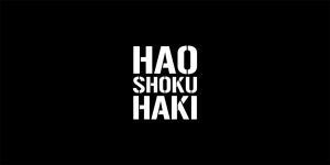 HAOSHOKU HAKI !! (Le Haki des Rois :)