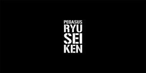 PEGASUS RYUSEIKEN