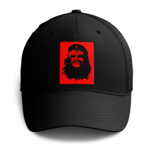 Gorras Parodias de manga