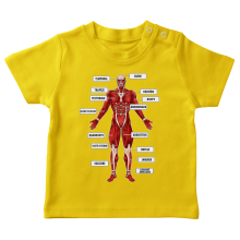 T-shirts bb Manga Design